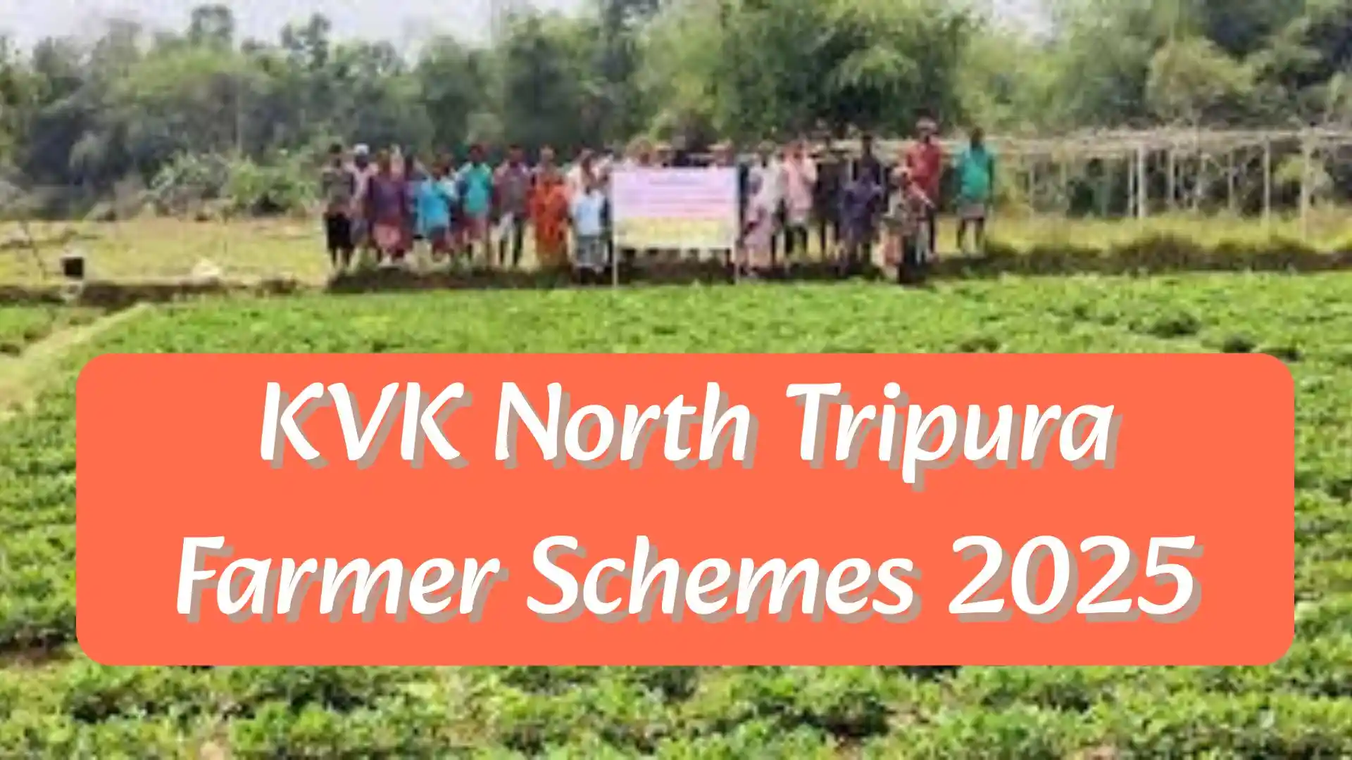 KVK North Tripura Farmer Schemes 2025: किसानों के लिए बेहतरीन अवसर