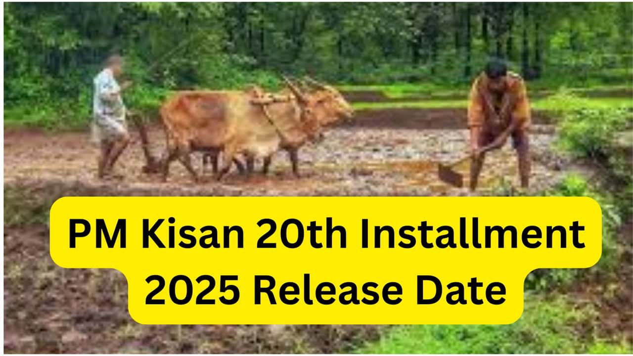 PM Kisan 20th Installment 2025 Release Date: ₹2000 की अगली राशि कब आएगी, कैसे चेक करें स्टेटस